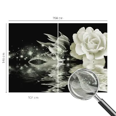Papier peint photographique intissé Rose lumineuse