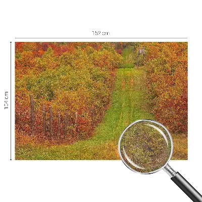 Papier peint photographique sur tissu non tissé couleurs d'automne