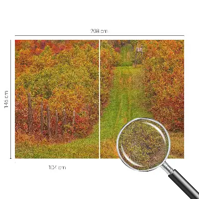 Papier peint photographique sur tissu non tissé couleurs d'automne