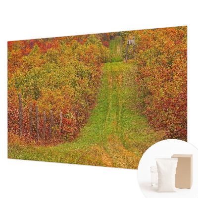 Papier peint panoramique enfant Jesenné farby