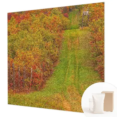 Papier peint photographique sur tissu non tissé couleurs d'automne