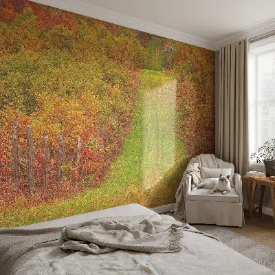 Papier peint photographique sur tissu non tissé couleurs d'automne