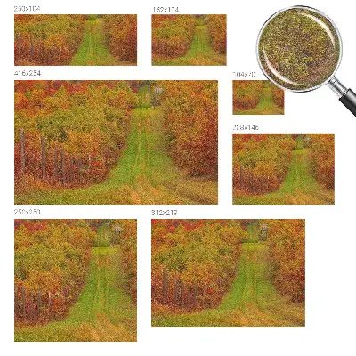 Papier peint photographique sur tissu non tissé couleurs d'automne