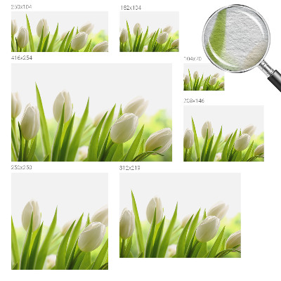 Papier peint panoramique chambre à motif de tulipes blanches