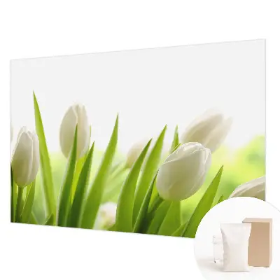 Papier peint photographique sur tissu non tissé Tulipes blanches