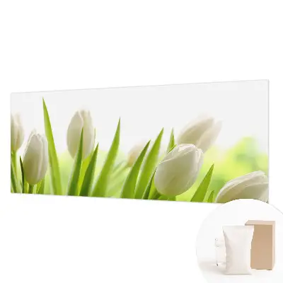 Papier peint photographique sur tissu non tissé Tulipes blanches