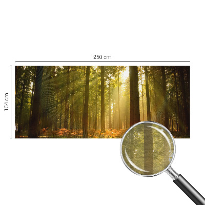 Papier peint panoramique chambre adulte Lesné ráno