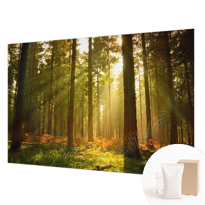 Papier peint panoramique chambre adulte avec le motif « Matinée forestière »