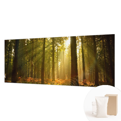 Papier peint panoramique chambre adulte Lesné ráno