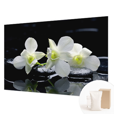 Papier peint panoramique tendance Kvety a kamene