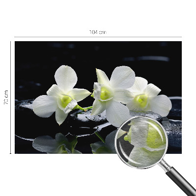 Papier peint panoramique tendance Kvety a kamene