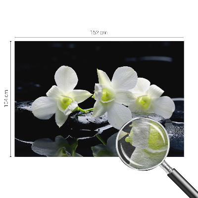 Papier peint panoramique tendance Kvety a kamene