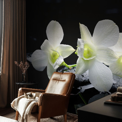 Papier peint panoramique tendance Kvety a kamene