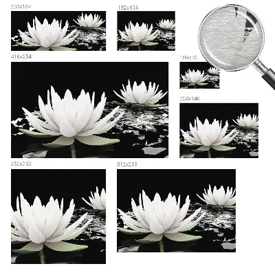 Papier peint photographique intissé fleurs aquatiques