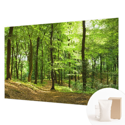 Papier peint photographique salon représentant un paysage naturel