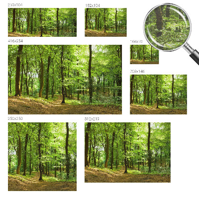 Papier peint photographique salon représentant un paysage naturel