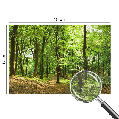 Papier peint photographique salon Prirodzená cesta