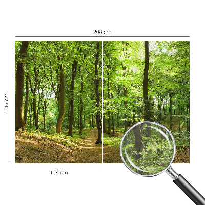 Papier peint photographique salon Prirodzená cesta