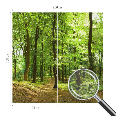 Papier peint photographique salon Prirodzená cesta