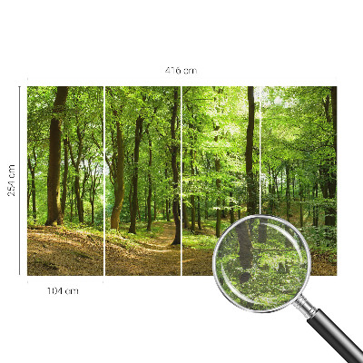 Papier peint photographique salon Prirodzená cesta