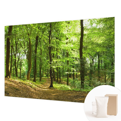 Papier peint photographique salon représentant un paysage naturel