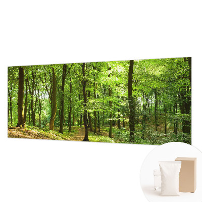 Papier peint photographique salon représentant un paysage naturel