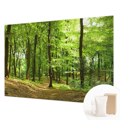 Papier peint photographique salon représentant un paysage naturel
