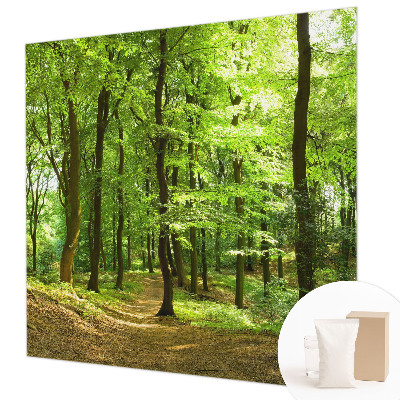Papier peint photographique salon représentant un paysage naturel