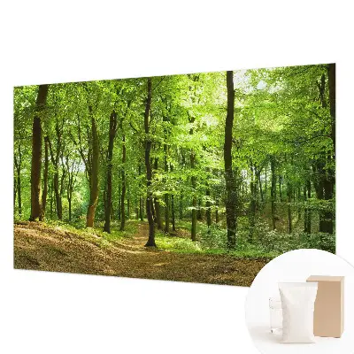 Papier peint photo sur tissu non tissé Chemin naturel