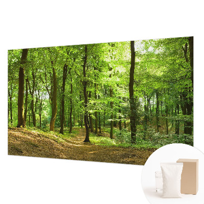 Papier peint photographique salon représentant un paysage naturel
