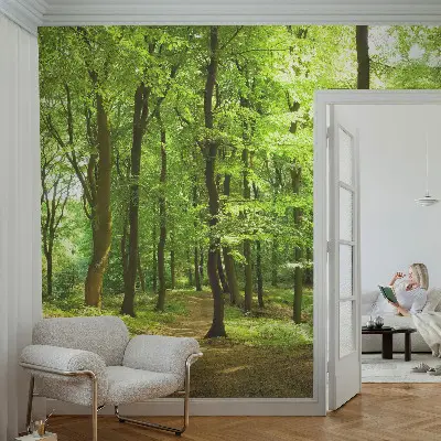 Papier peint photo sur tissu non tissé Chemin naturel