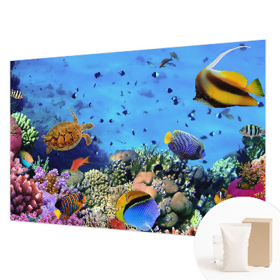 Papier peint photo Koralový útes