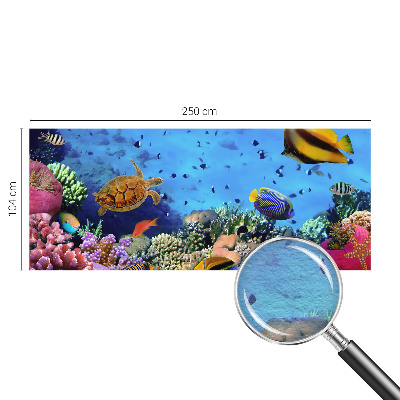 Papier peint photo Koralový útes