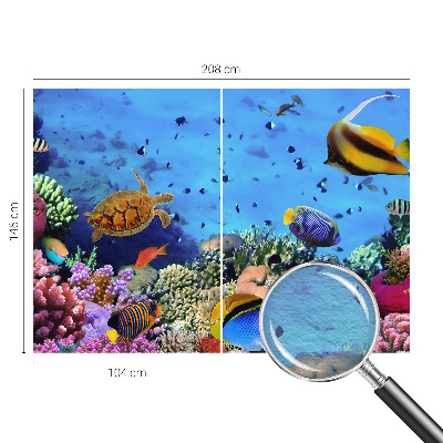 Papier peint photo Koralový útes