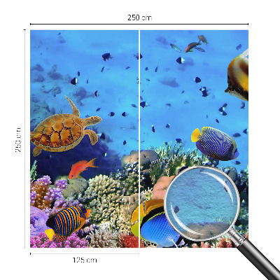 Papier peint photo Koralový útes