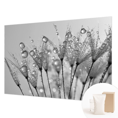 Papier peint panoramique chambre adulte Mokrá pochúťka