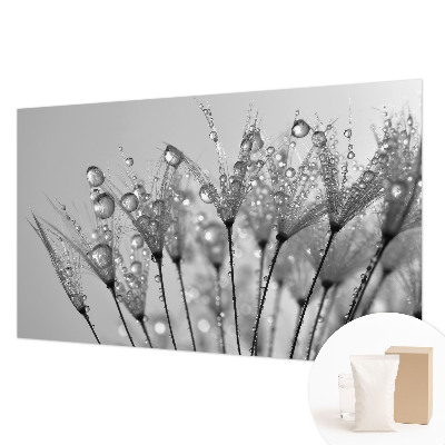 Papier peint panoramique chambre adulte Mokrá pochúťka