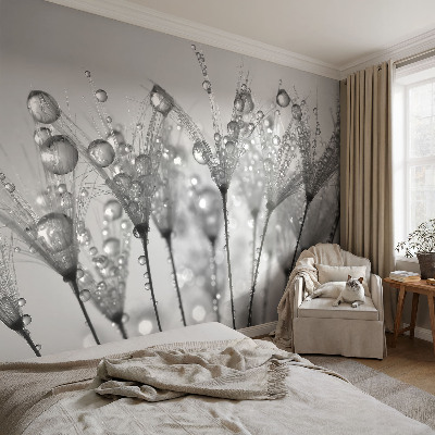 Papier peint panoramique chambre adulte Mokrá pochúťka