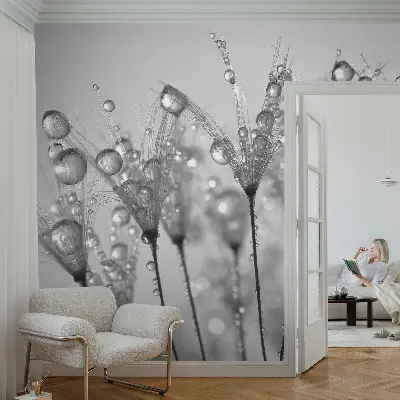 Papier peint photo imprimé sur tissu non tissé Délice humide