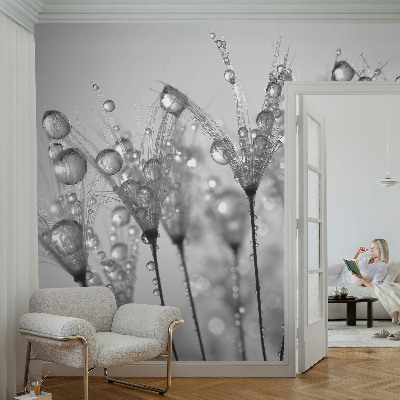 Papier peint panoramique chambre adulte Mokrá pochúťka