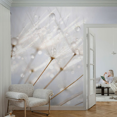 Poster mural panoramique Ružová púpava