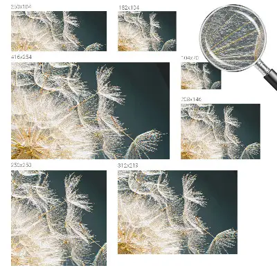 Papier peint photo imprimé sur tissu non tissé Pissenlit de légèreté