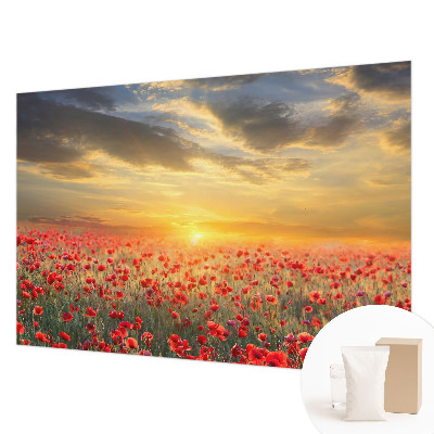 Papier peint panoramique moderne Makové pole