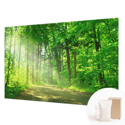 Papier peint panoramique tendance avec un motif de sentier forestier