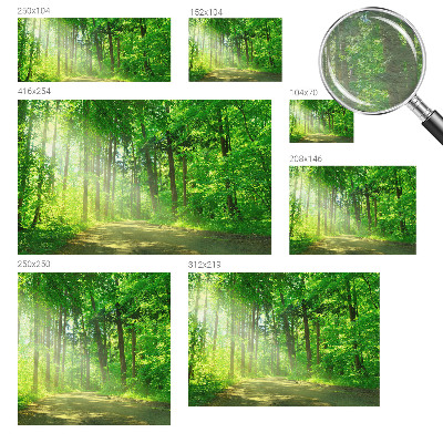 Papier peint panoramique tendance avec un motif de sentier forestier