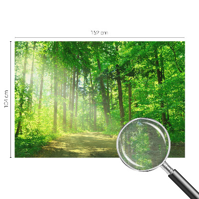 Papier peint panoramique tendance Lesný chodník