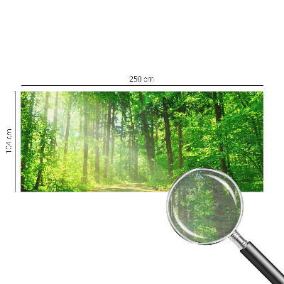 Papier peint panoramique tendance Lesný chodník