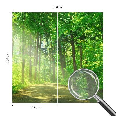 Papier peint panoramique tendance avec un motif de sentier forestier