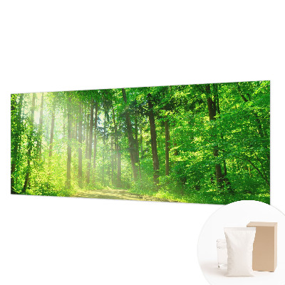 Papier peint panoramique tendance avec un motif de sentier forestier