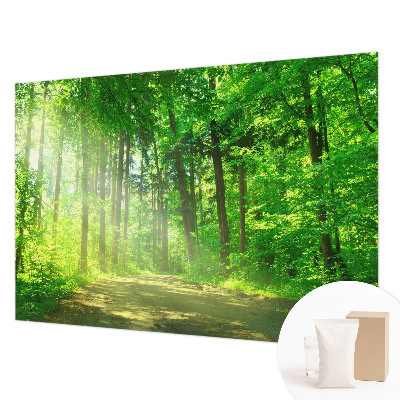 Papier peint panoramique tendance avec un motif de sentier forestier